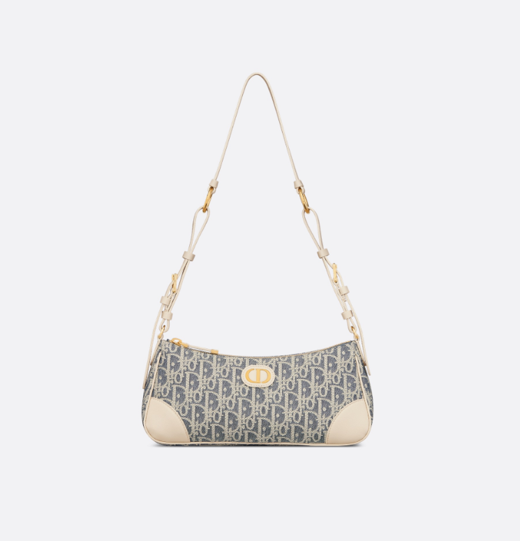 Dior  30 Montaigne Wanderlust Bag