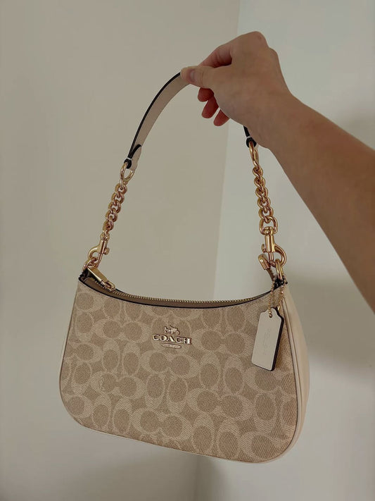 Coach Teri Hobo Bag In Signature Canvas