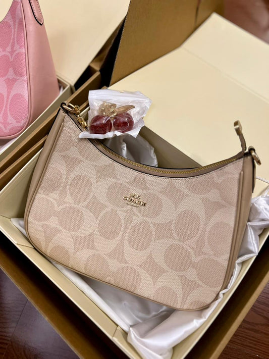Coach Teri Hobo Bag In Signature Canvas